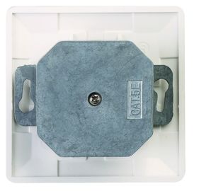 Ftp Network Faceplate Socket White / Lvory Higher Efficiency For Telecommunication